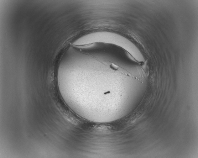 X0000068840407200606021714