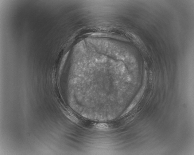 X0000068840409200606021714