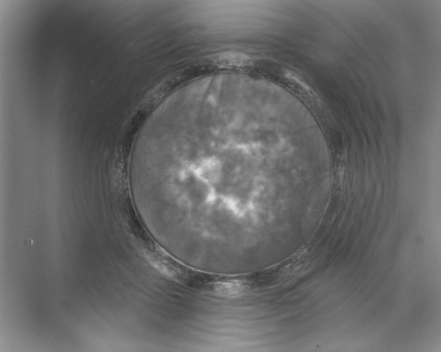 X0000068840411200606021714