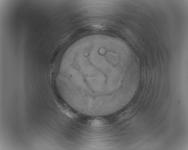 X0000068840412200606021714