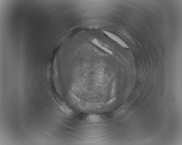 X0000068840413200606021714