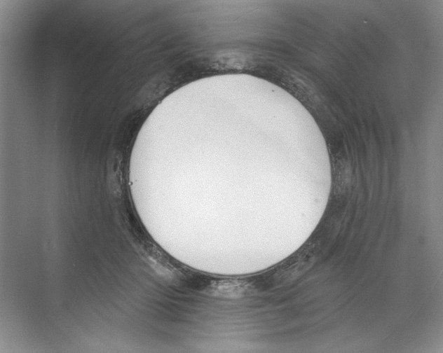 X0000068840414200606021714