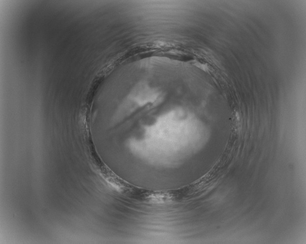 X0000068840415200606021714