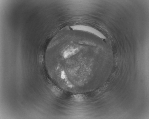 X0000068840417200606021714