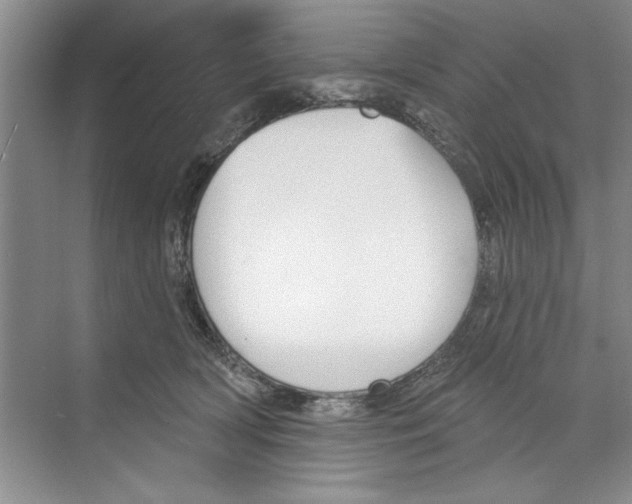 X0000068840418200606021714