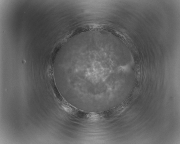 X0000068840419200606021714