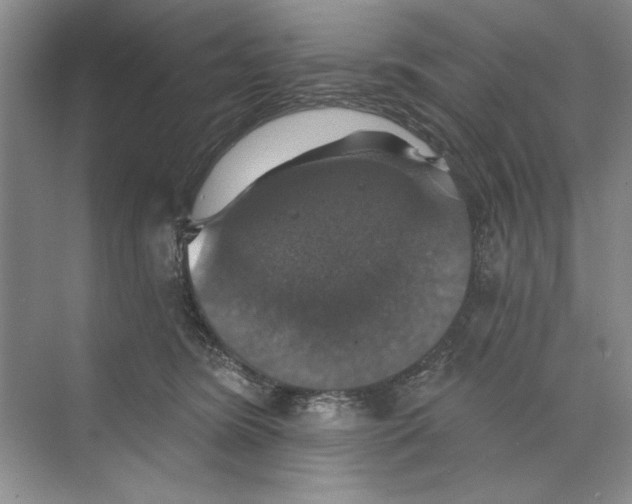 X0000068840420200606021714