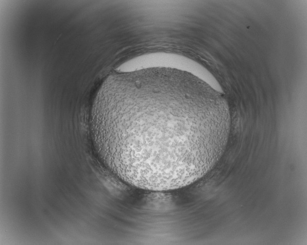 X0000068840421200606021714