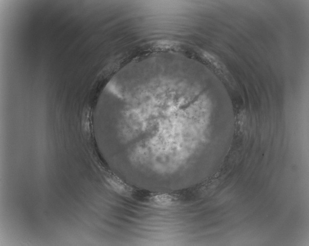 X0000068840423200606021714