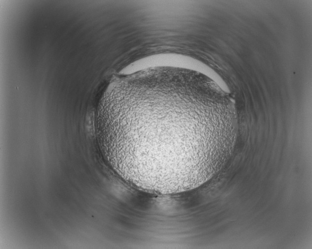 X0000068840425200606021714