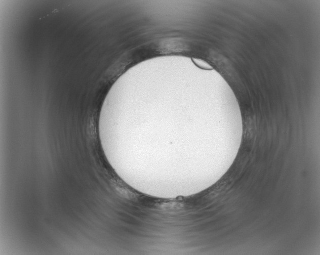 X0000068840426200606021714