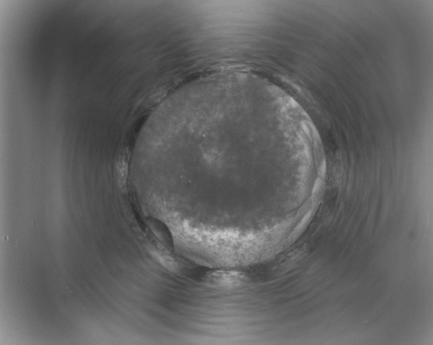 X0000068840427200606021714