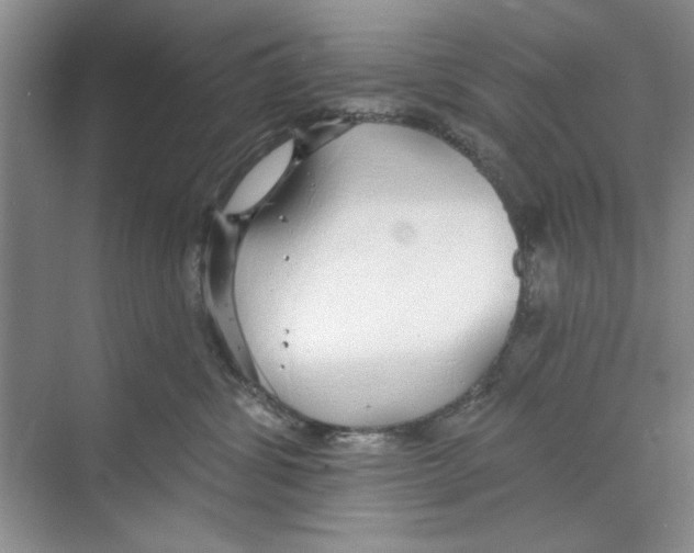 X0000068840428200606021714