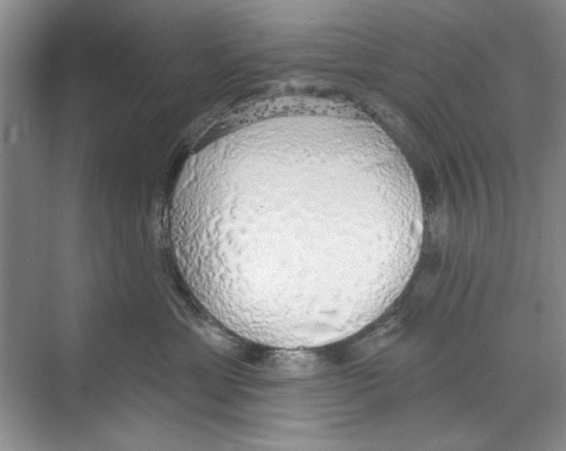 X0000068840429200606021713