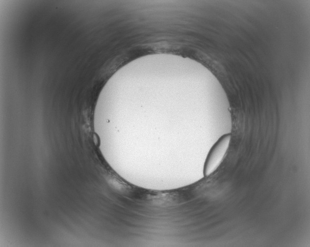 X0000068840430200606021713