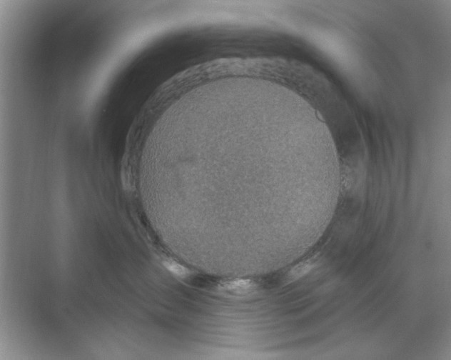 X0000068840431200606021713