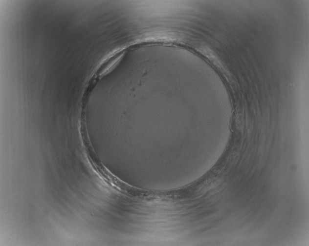 X0000068840434200606021713