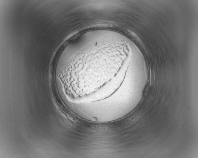 X0000068840435200606021713