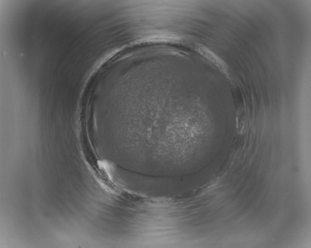 X0000068840436200606021713