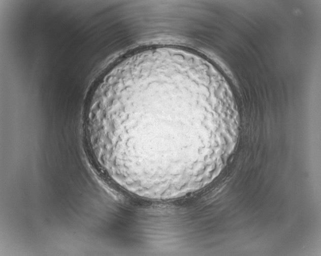 X0000068840437200606021713