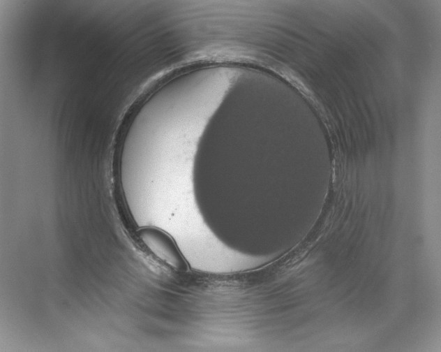 X0000068840438200606021713