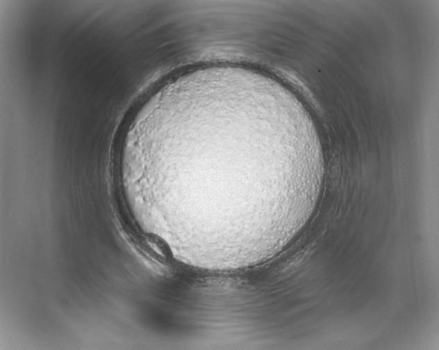 X0000068840439200606021713