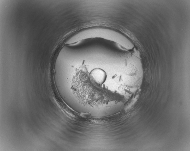 X0000068840442200606021713