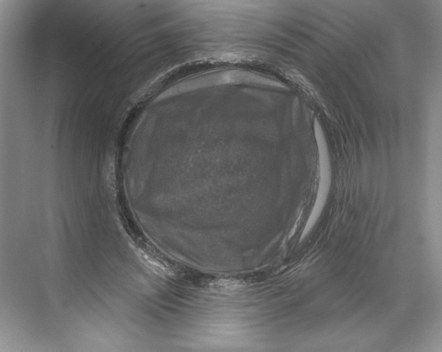 X0000068840444200606021713