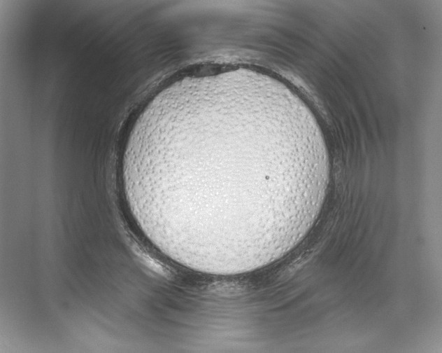 X0000068840445200606021713