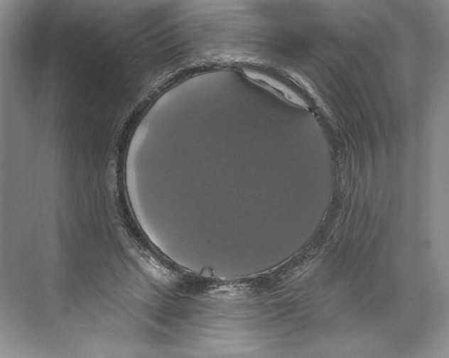 X0000068840447200606021713