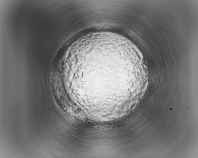 X0000068840448200606021713