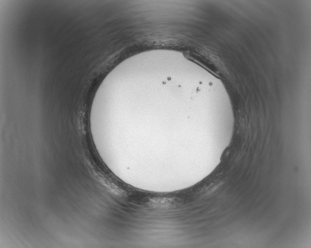 X0000068840450200606021713