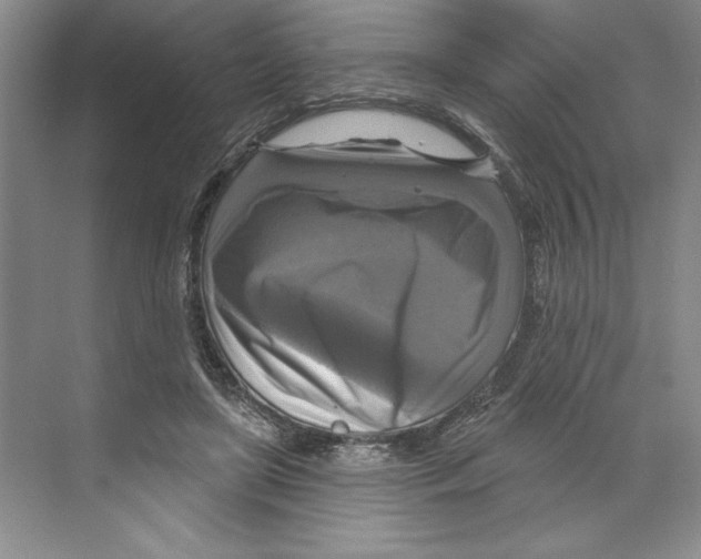 X0000068840451200606021713