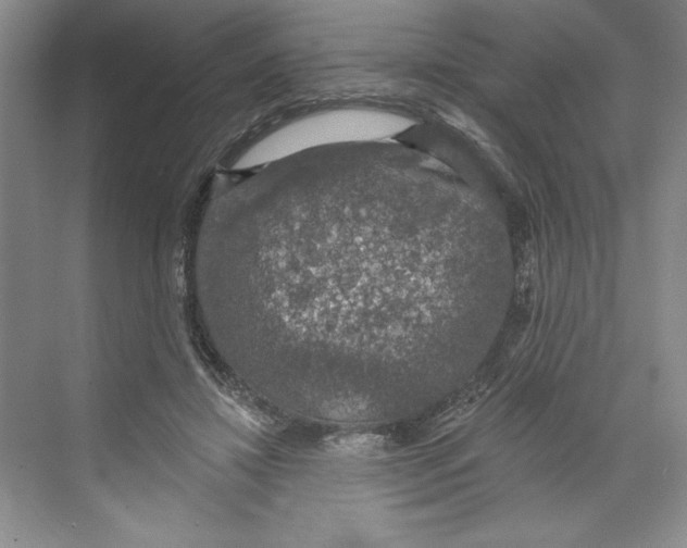 X0000068840452200606021713