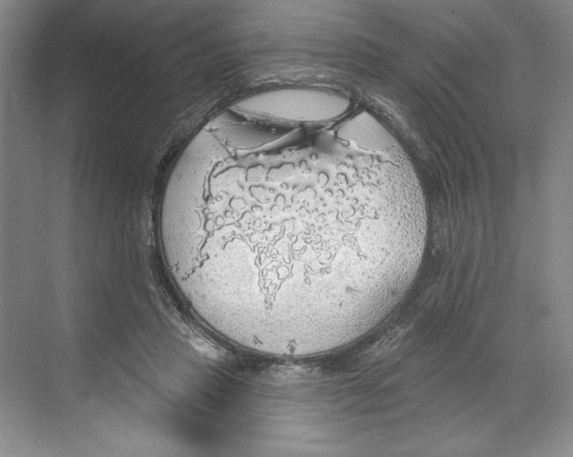 X0000068840453200606021713