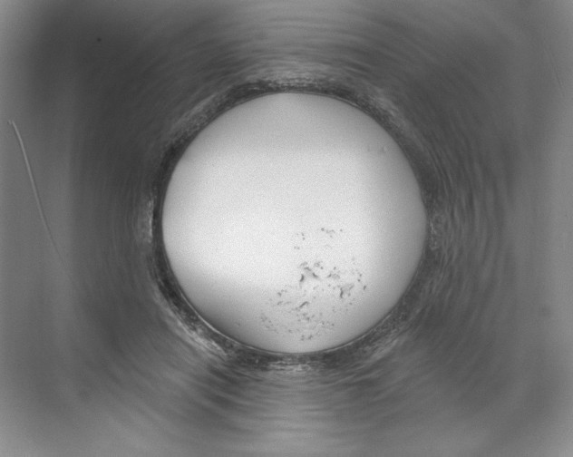 X0000068840454200606021713