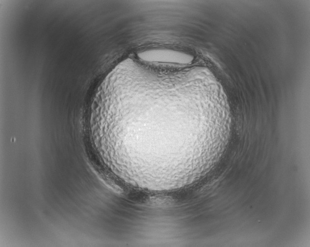 X0000068840455200606021713