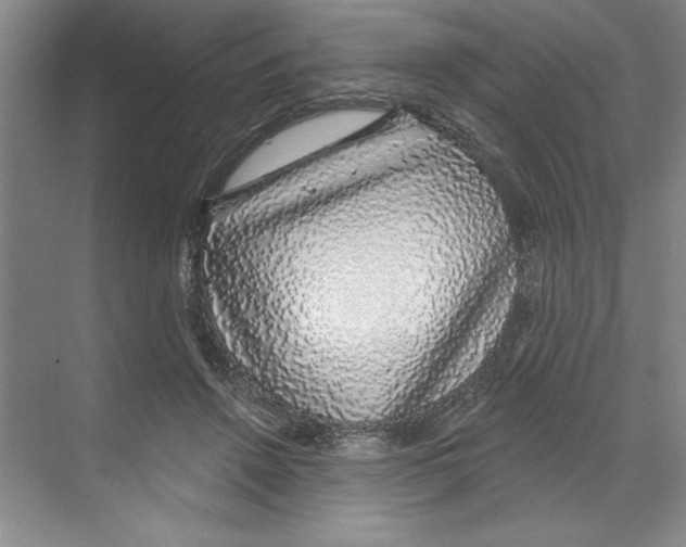 X0000068840456200606021713