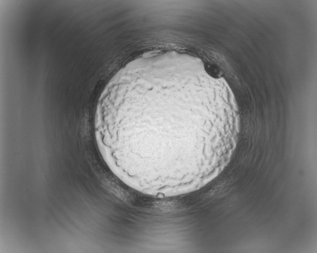 X0000068840457200606021713