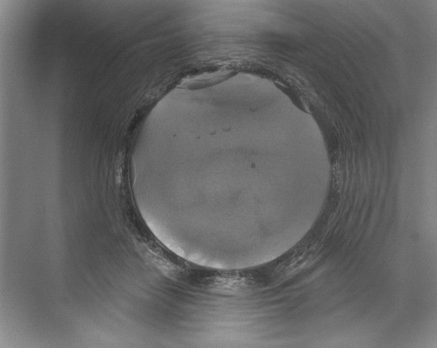 X0000068840458200606021713