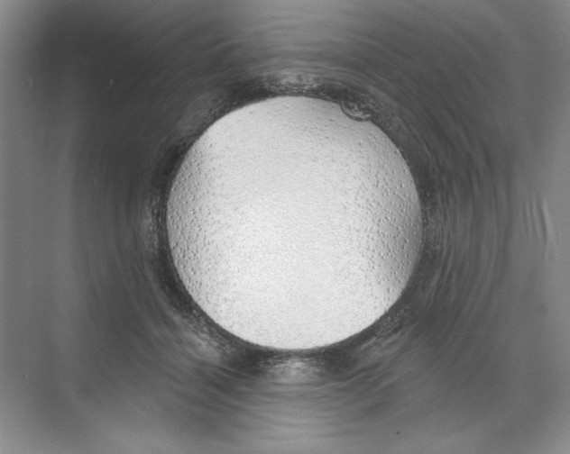 X0000068840460200606021713