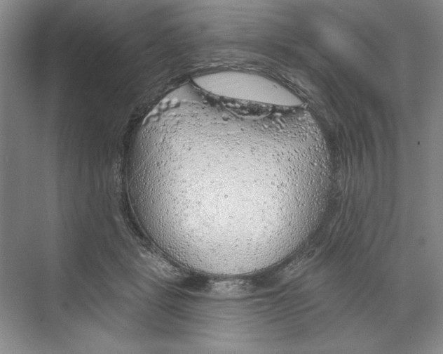 X0000068840461200606021713