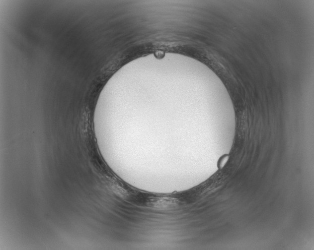 X0000068840463200606021713