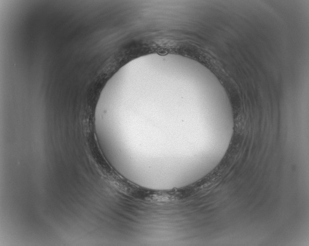 X0000068840464200606021713