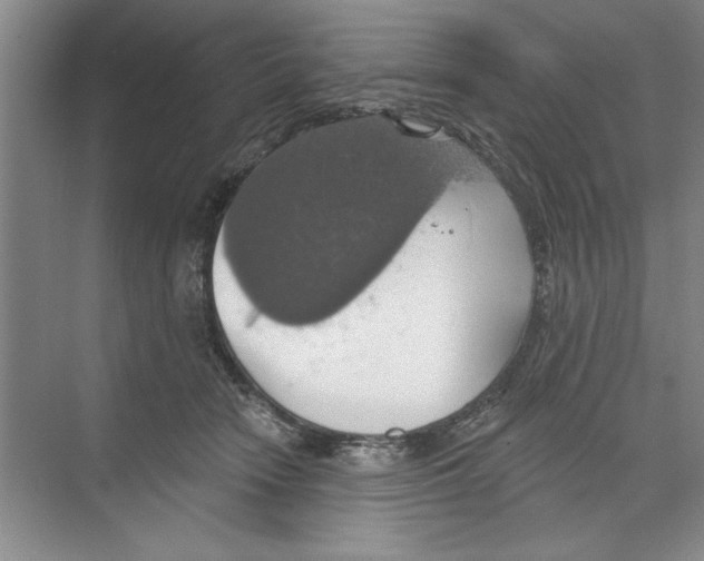 X0000068840466200606021713