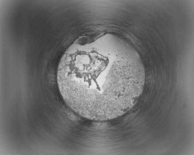 X0000068840469200606021713