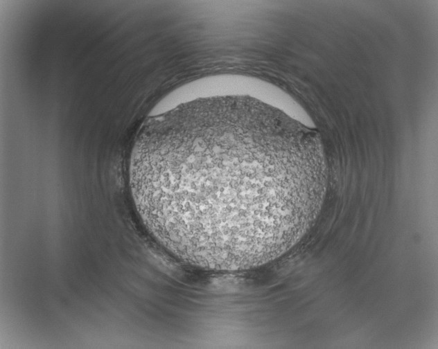 X0000068840470200606021713