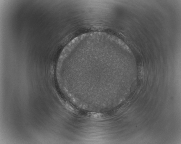 X0000068840472200606021713