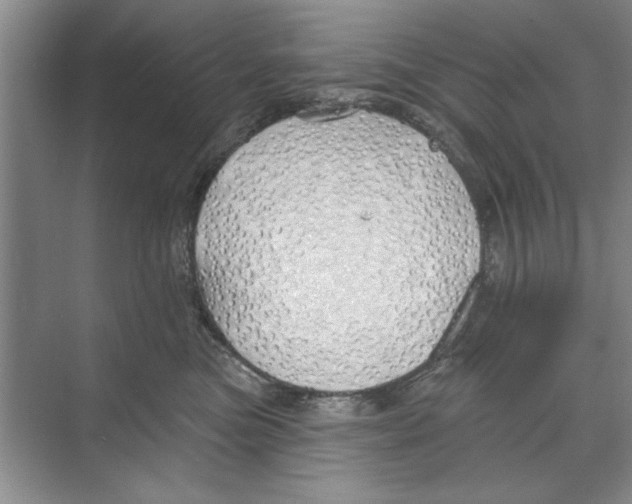 X0000068840473200606021713