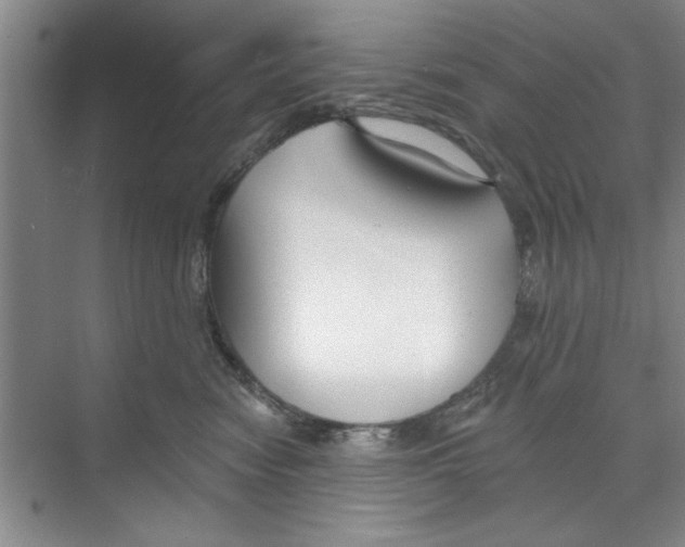 X0000068840474200606021713